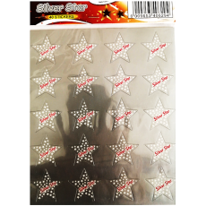 SILVER STAR STICKERS  (LARGE)  